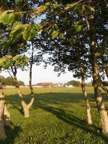 Vellinge golfklubb