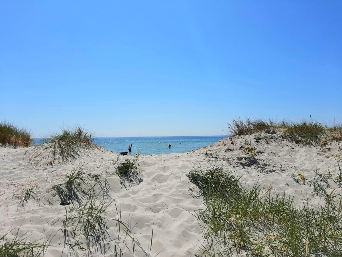Falsterbo beach