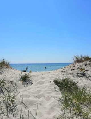 Falsterbo beach