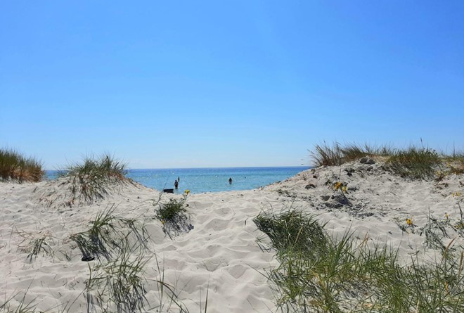 Falsterbo beach